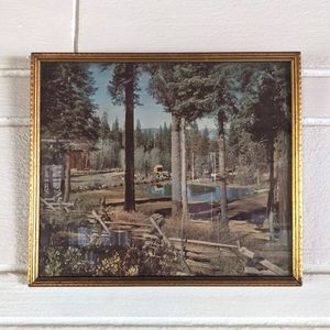 Vintage PNW Framed Photo